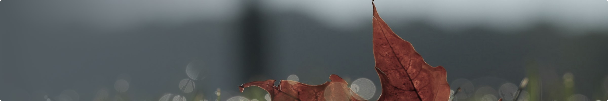 陵园点评_天津墓地