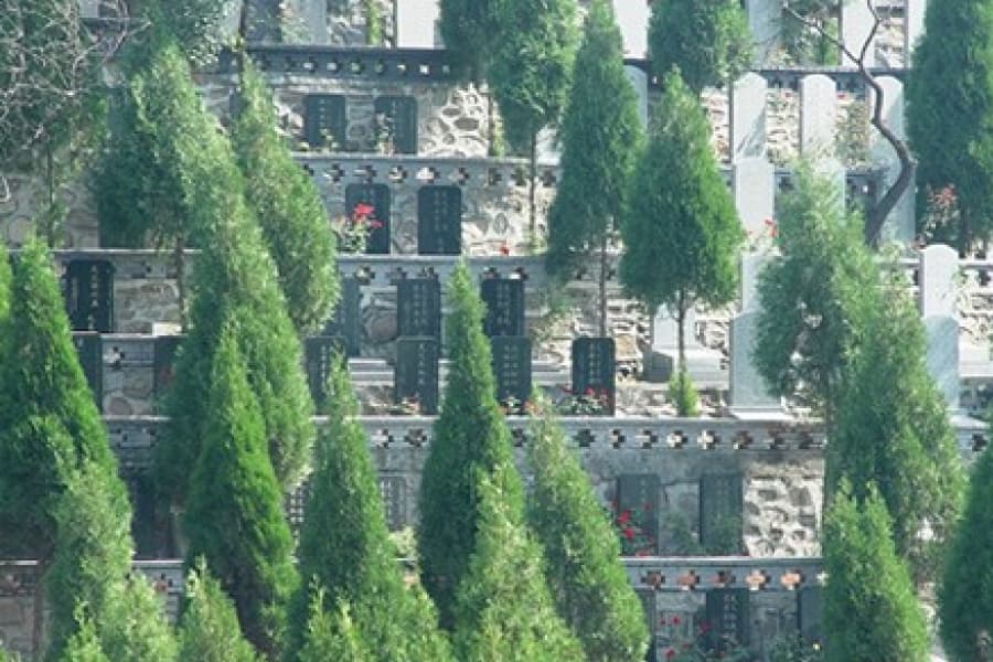 选择墓地时是否必须朝南？